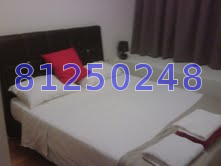 Wembly Residences (D19), Apartment #13904752